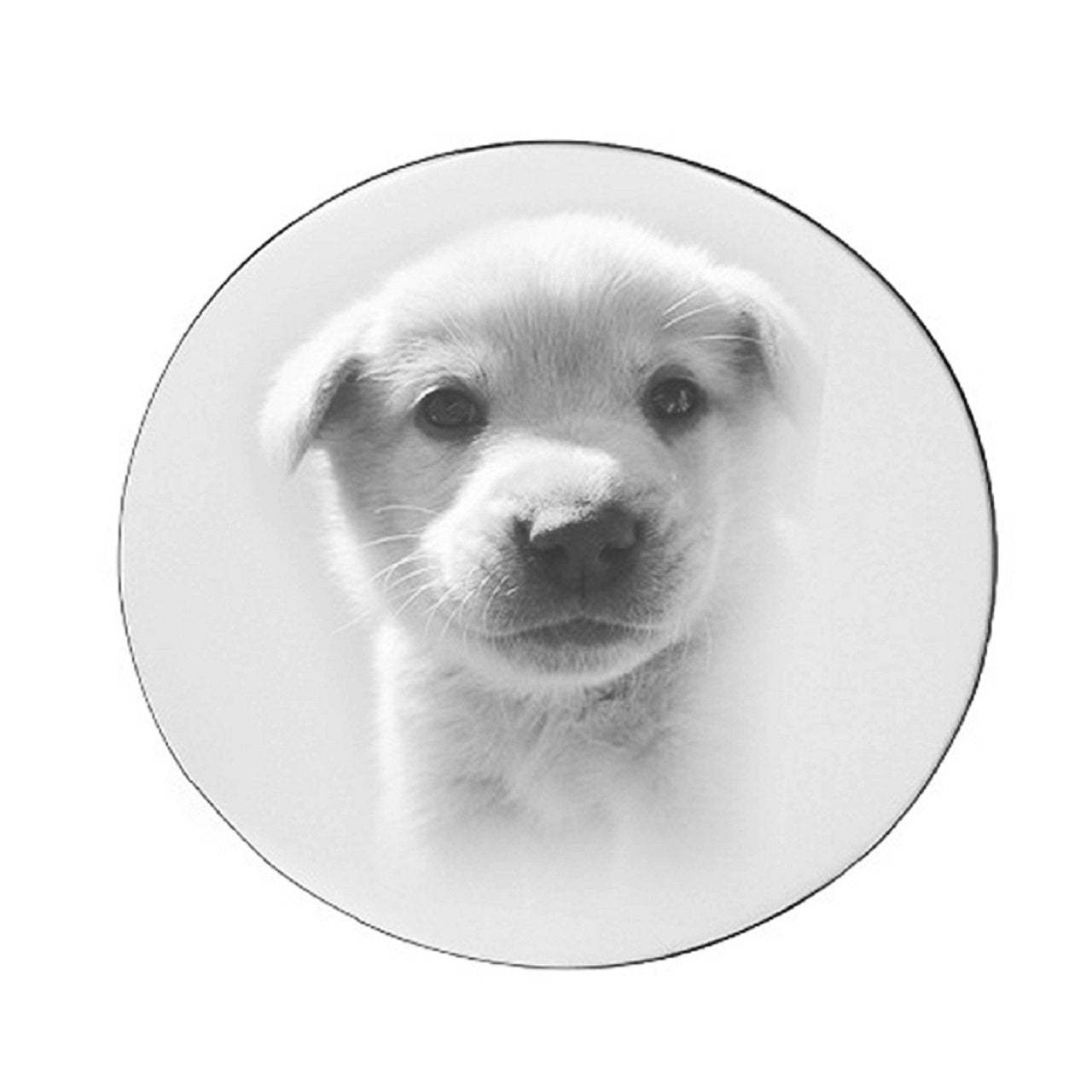 Disc Photo Insert for Dream Locket - Floating Dream Lockets by Belle Fever