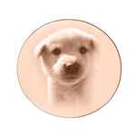 Disc Photo Insert for Dream Locket - Floating Dream Lockets by Belle Fever
