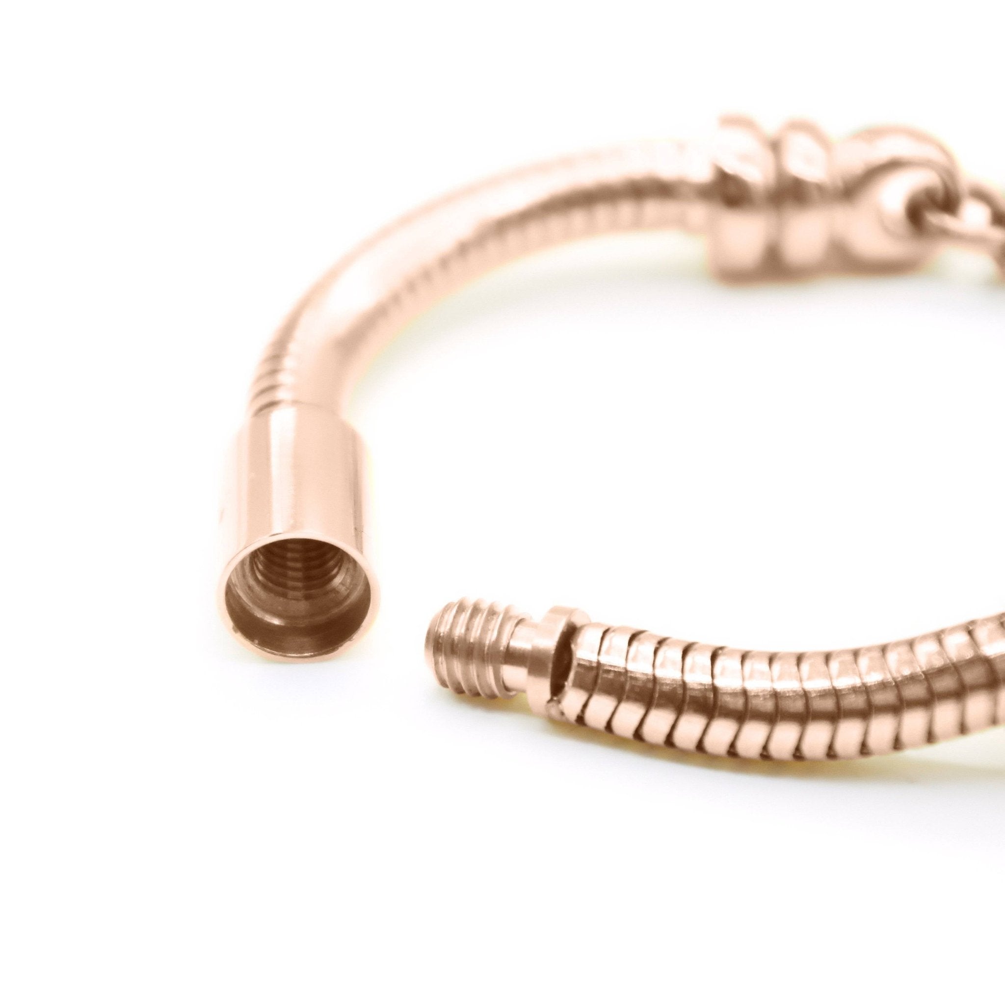 New Moments Bracelet with Extension - Moments Charm Bracelets by Belle Fever